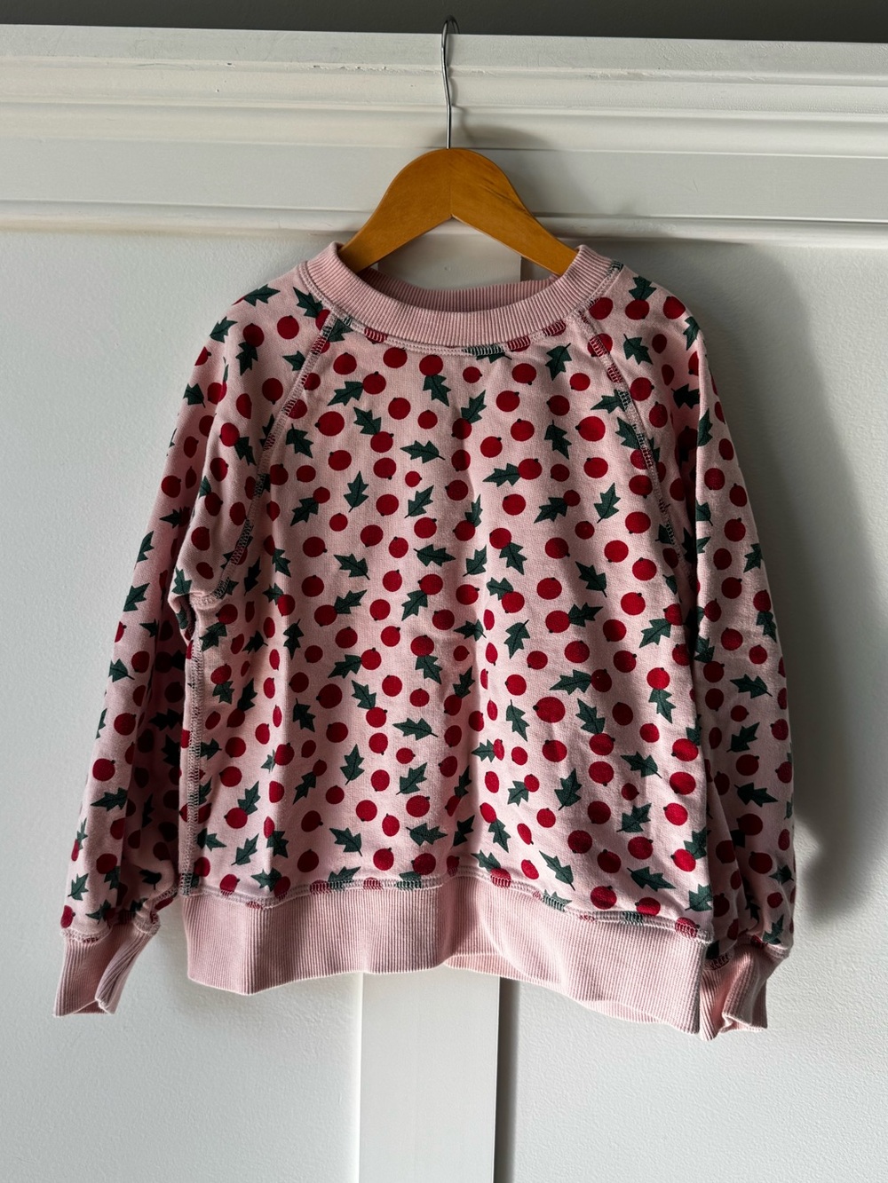 Hanna Andersson Holly Crewneck Sweatshirt